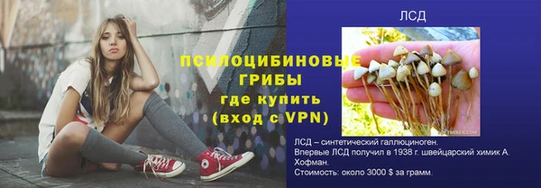 марки lsd Богородицк