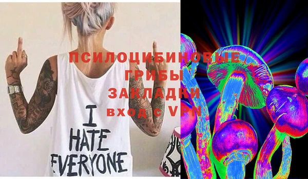 экстази Богородск