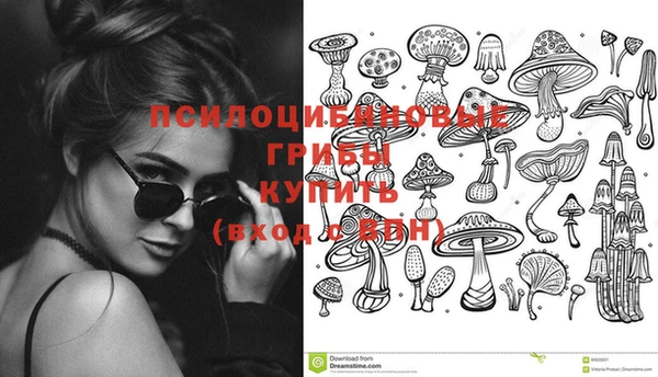 марки lsd Богородицк