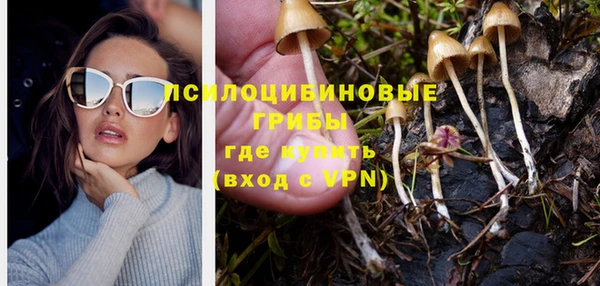экстази Богородск