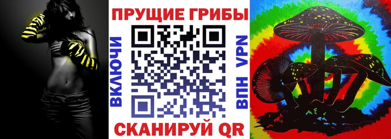 Псилоцибиновые грибы Cubensis Старица